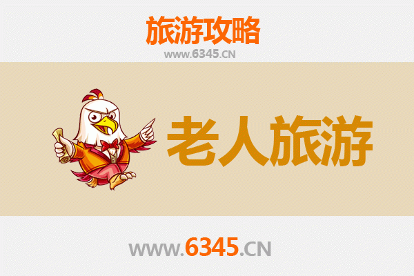 临清银龄漫游：古韵水城慢旅行指南